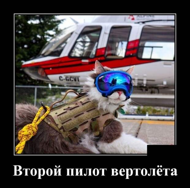 Демотиваторы (30 фото)