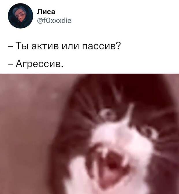 Смешные картинки 11 января 2022 года
