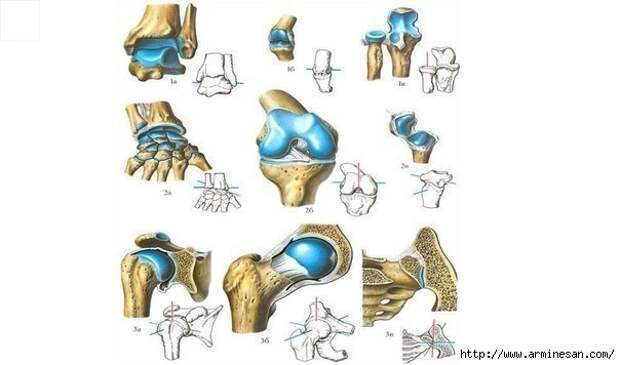 iIc-GvLcxko (580x356, 89Kb)