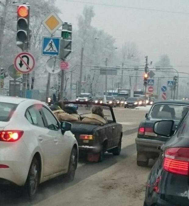 Свежая подборка автоприколов авто, автоприколы, приколы