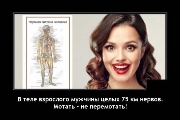 Демотиватор про мужские нервы