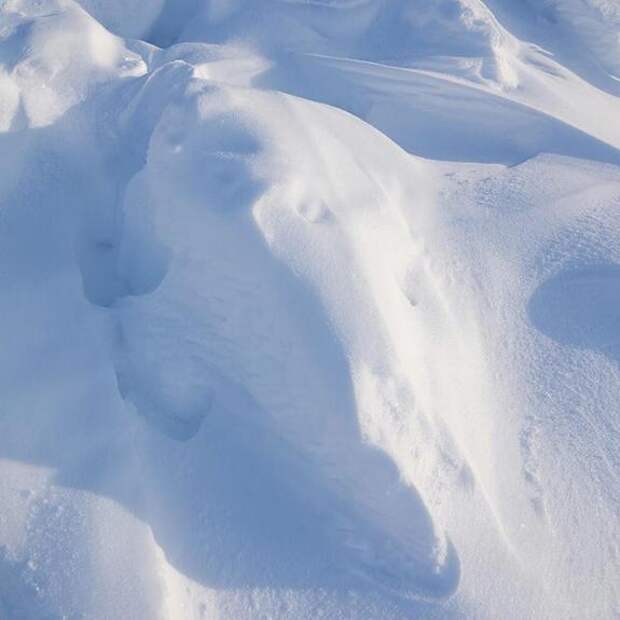 Жители Нерехты написали на сугробах фамилии местных чиновников — и снег убрали за несколько часов