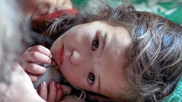 Эта 3-летняя малышка 11 дней блуждала по дикому лесу. Вот, кто все время был с ней Эта 3-летняя малышка 11 дней блуждала по дикому лесу. Вот, кто все время был с ней девочка, собака
