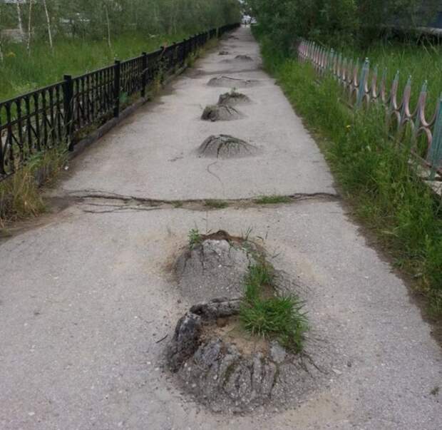 Прикольные картинки Прикольные картинки