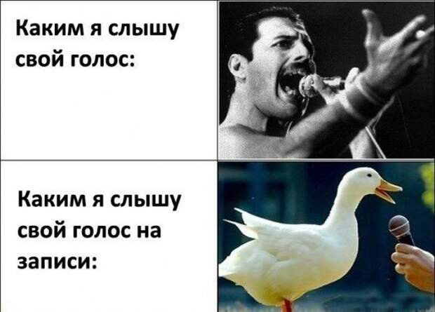 Колкий юмор (34 фото)