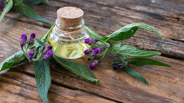 Окопник для костей