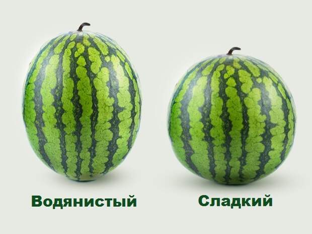 МАЛЕНЬКИЕ СЕКРЕТЫ БОЛЬШИХ АРБУЗОВ МАЛЕНЬКИЕ СЕКРЕТЫ БОЛЬШИХ АРБУЗОВ