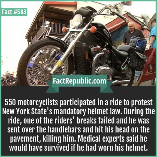 Everyday Life Facts