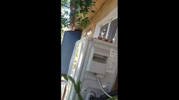 Video: Клип @donetskdnr_vk