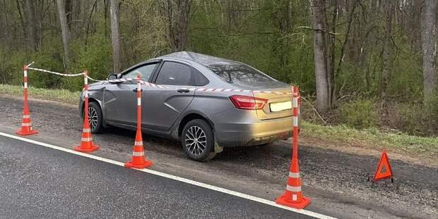 Лось попал в аварию в Новгородской области