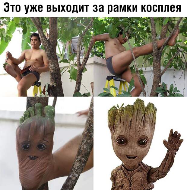kartinok-intepesnyh-prikolnyh-kartinki-smeshnye-kartinki-fotoprikoly