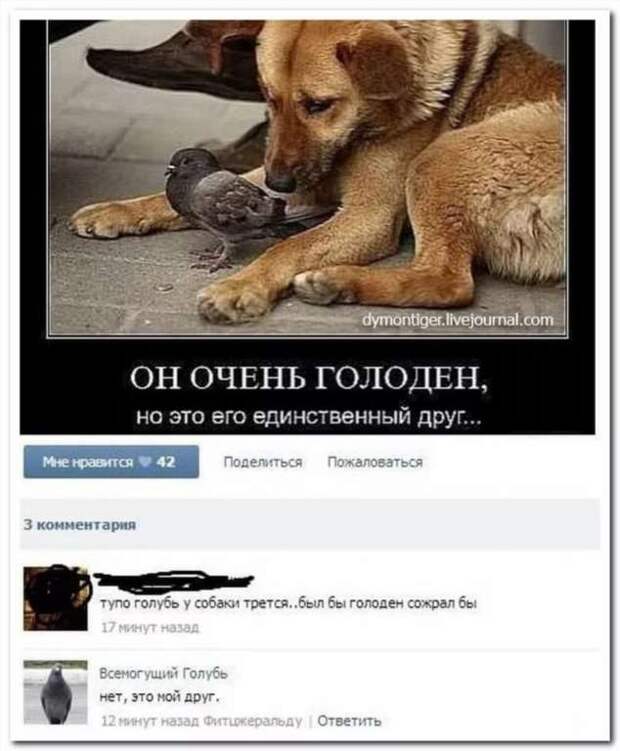 Смешные комментарии. Подборка chert-poberi-kom-chert-poberi-kom-36410623082020-15 картинка chert-poberi-kom-36410623082020-15