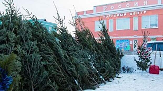 Елочный базар / Фото: из архива  amic.ru