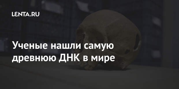 Ученые нашли самую древнюю ДНК в мире