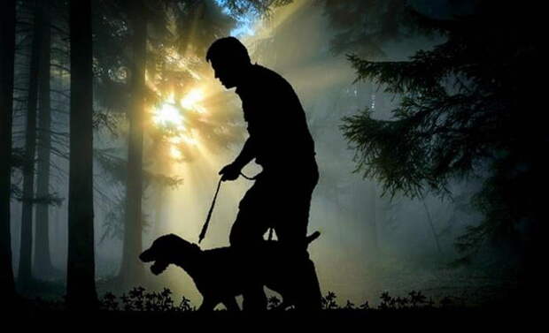 Глюк в Матрице во время прогулки с собакой