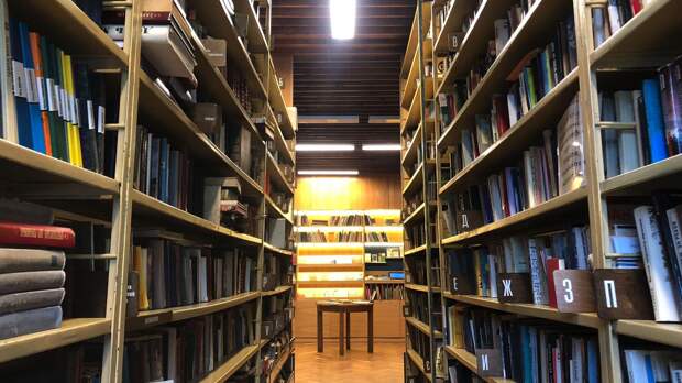 Психолог Ланг объяснил любовь зумеров к библиотекам