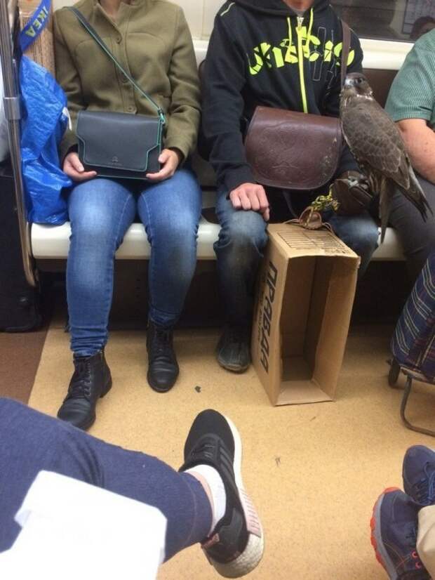 Модники и чудаки из метро
