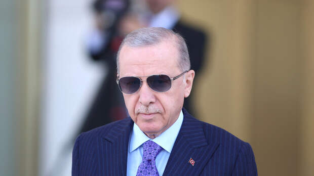 Эрдоган допустил «дополнительные шаги» для мира в Сирии