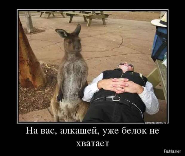 Прикольные демотиваторы с надписями. Подборка chert-poberi-dem-chert-poberi-dem-32360623082020-11 картинка chert-poberi-dem-32360623082020-11