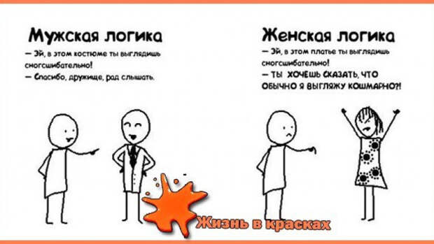 Настоящая женская логика — кому веселье, а кому страдать (11 фото)