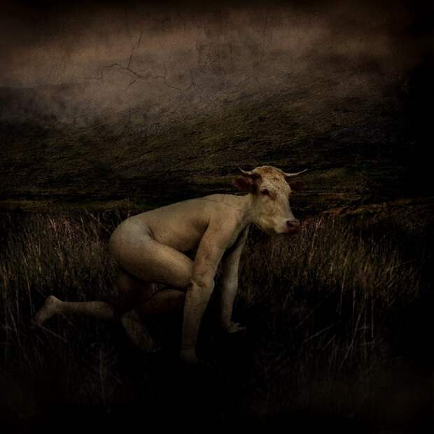 Ковбой. Автор: Sarah Vermeersch. Ковбой. Автор: Sarah Vermeersch.