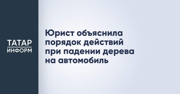 Юрист объяснила порядок действий при падении дерева на автомобиль