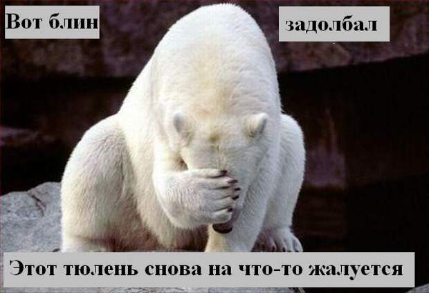 Мысли2 :) (50мыслей)