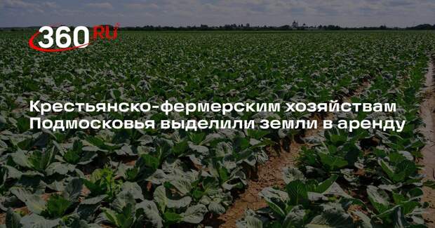 Крестьянско-фермерским хозяйствам Подмосковья выделили земли в аренду