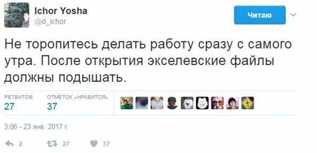 Советы и умозаключения от знатоков подборка, прикол, совет, советы, юмор