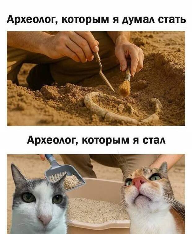 @psychology_funny  #юмор #смешное #приколы