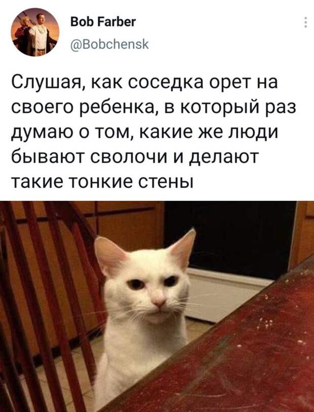 Смешные картинки вечер 5 марта 2021