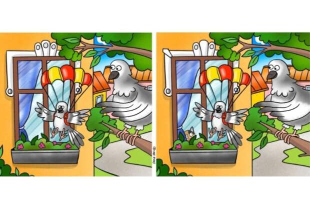 Голубь-парашютист и 10 отличий: успеете найти все за 44 секунды?