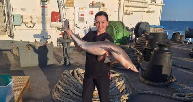 Женщина на корабле — к счастью