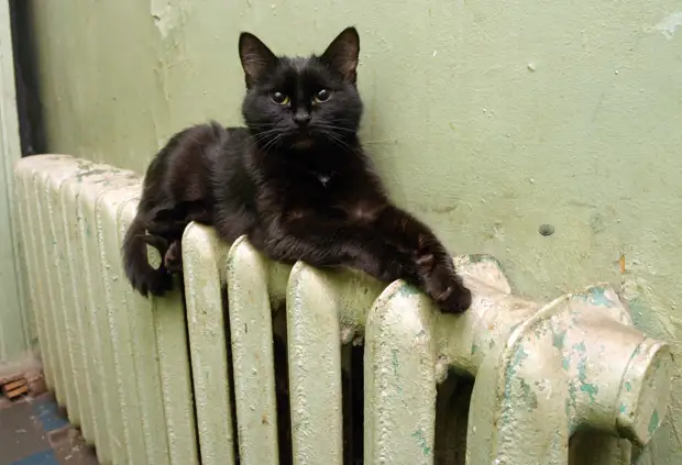 Когда отключат отопление в Санкт-Петербурге 2022: батареи скоро начнут остывать