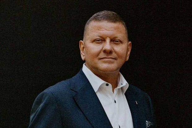 Экс-депутат Рады Килинкаров: если Зеленский уйдет, его место займет Залужный