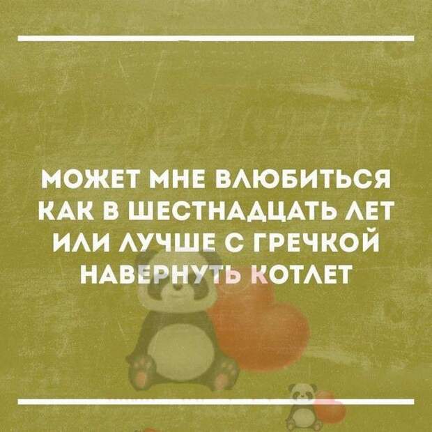 Свежая порция из 15 хороших и добрых коротких историй из сети