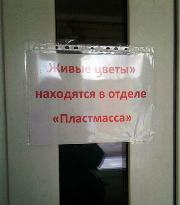 Цветы в пластмассе. Цветы в пластмассе.