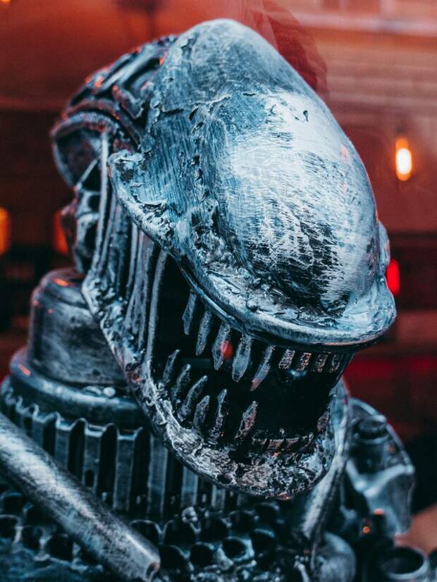 Названа дата выхода фильма 'Хищник: Планета смерти' в онлайн-кинотеатрах