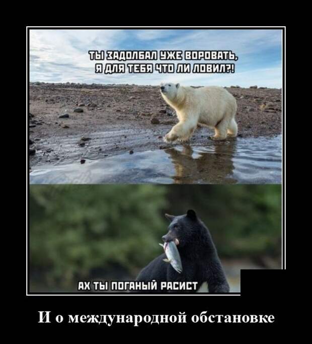 Демотиваторы 13 августа 2020