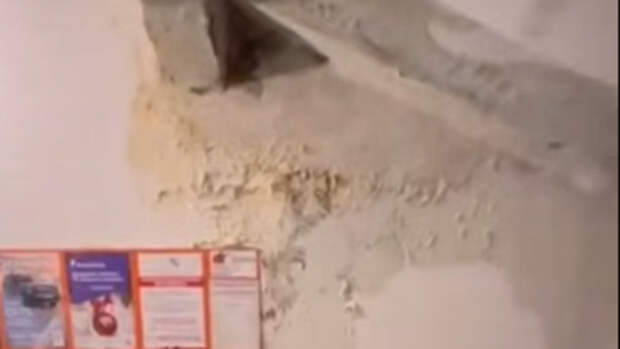 Жильцы дома в Барнауле пять месяцев не могут устранить течь из-за бездействия УК