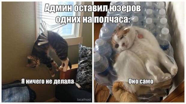 Оно само ) Оно само )