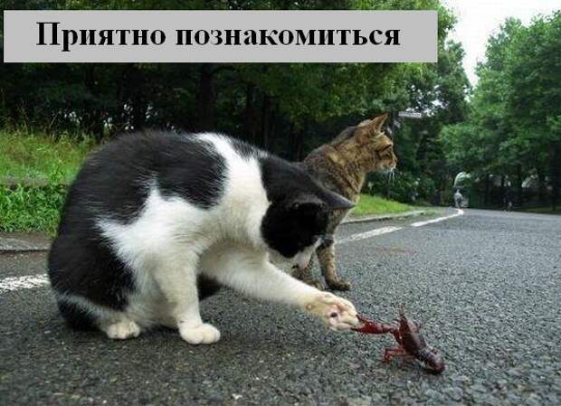 Мысли2 :) (50мыслей)