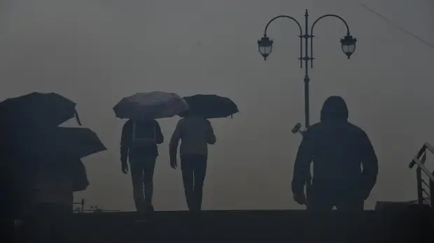 МЧС продлило экстренное предупреждение о грозе и ветре в Москве