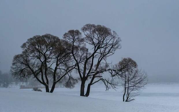 "Жёлтый" уровень погодной опасности снова продлили
