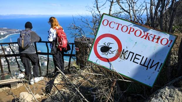 Роспотребнадзор: начало активности клещей ожидается в третьей декаде марта