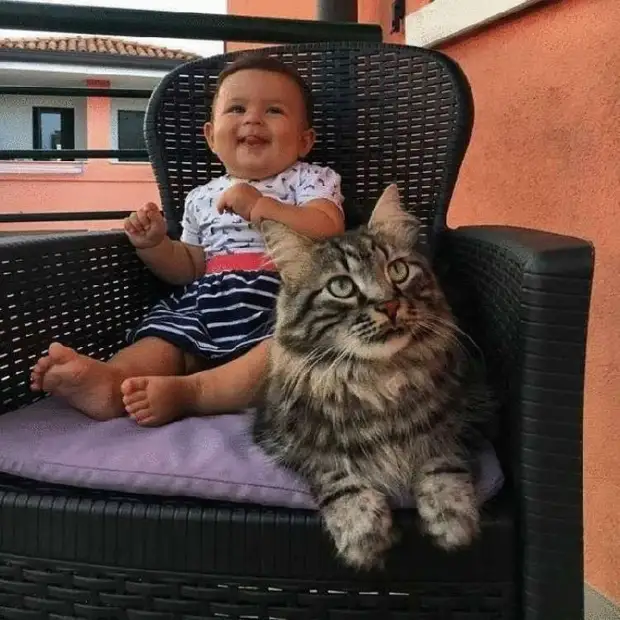 Кот стал второй мамой для маленького ребёнка
