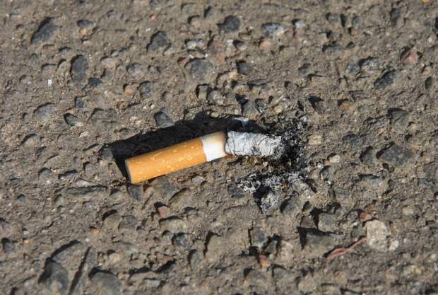 Случайный прохожий жестоко отомстил бросившему на улицу окурок водителю