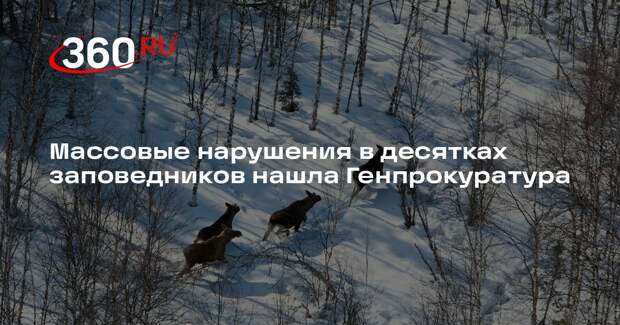 Массовые нарушения в десятках заповедников нашла Генпрокуратура