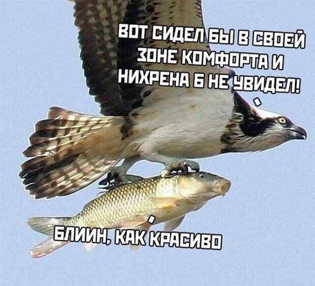 utxybiluzng.jpg