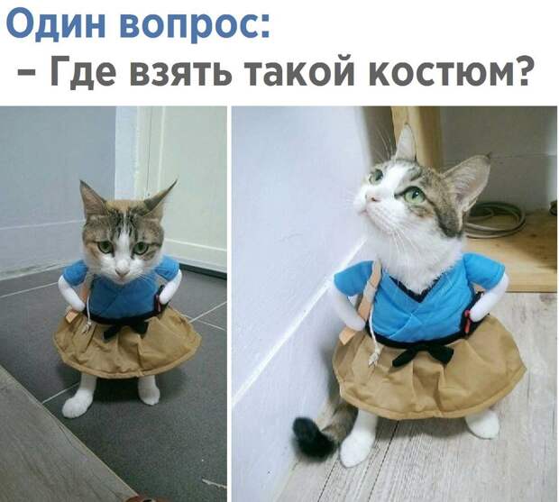 Смешные картинки и фотографии с надписями со смыслом (10 фото)